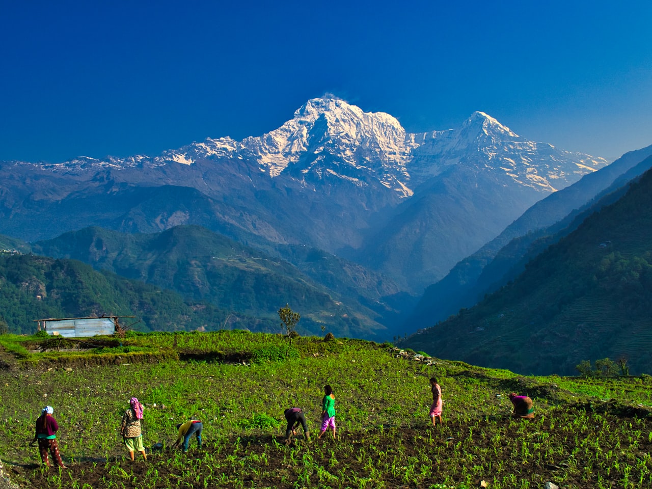 Everest Base Camp Trek — 14 Days